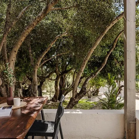 Villa Vinothea Veranda